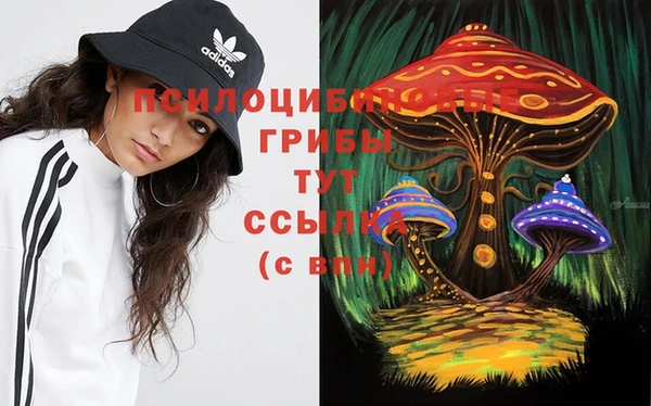 МДПВ Навашино