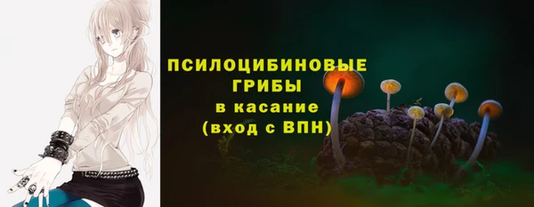 амф Каменногорск