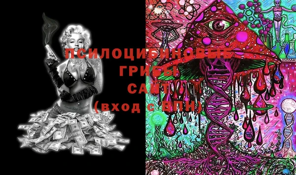 MDMA Карпинск