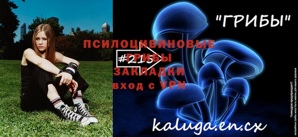 амф Каменногорск