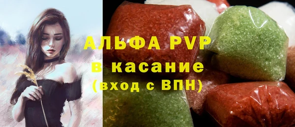 амф Каменногорск