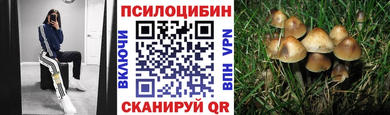 где можно купить наркотик  Межгорье  Галлюциногенные грибы GOLDEN TEACHER 